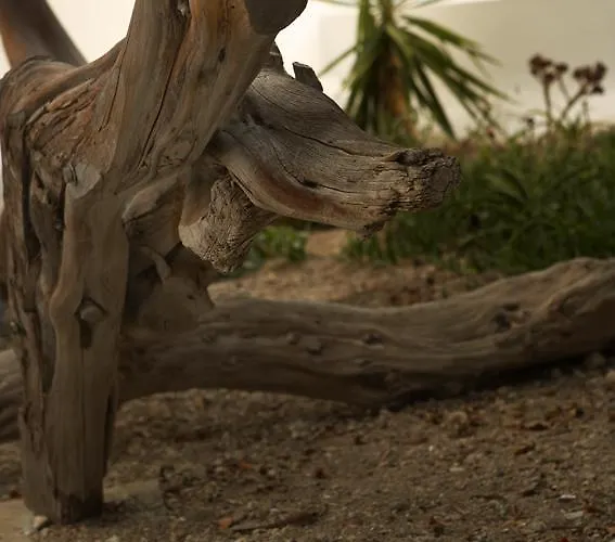 Semesterbostad Casa Aiora *