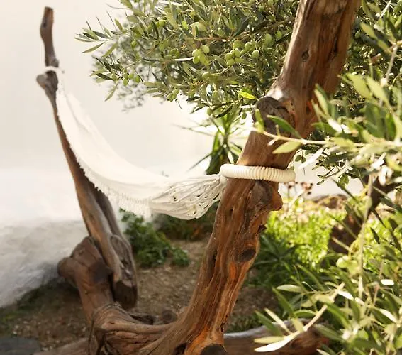 Casa Aiora Semesterbostad *